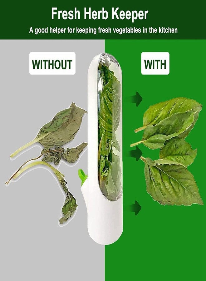 LinaLife Kitchen Herb Saver Keeper Cup Fresh Produce Refrigerator Herbs Storage Container Herb Storage for Cilantro,Parsley, Asparagus,Keeps Vegetables Fresh for 2-3 Week - Image 4
